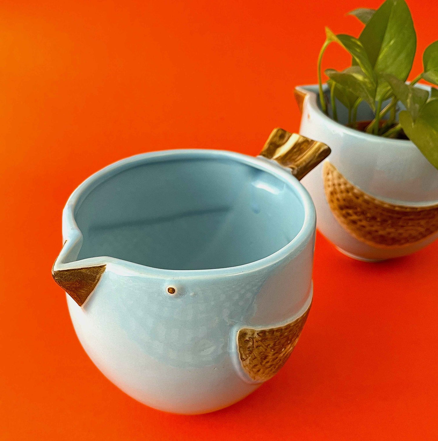 Chirp & Grow Ceramic Planter for Stylish Home Decor - Tasty Laddle