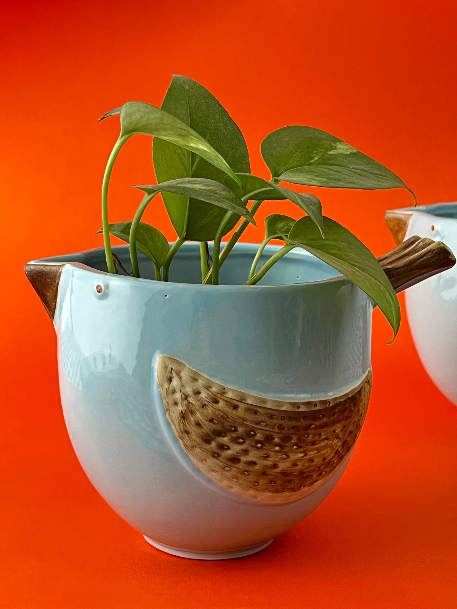 Planters