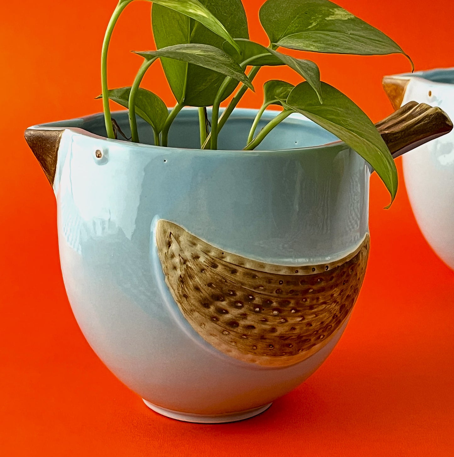 Chirp & Grow Ceramic Planter