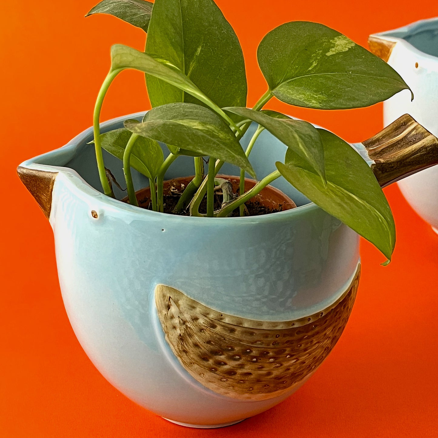 Chirp & Grow Ceramic Planter